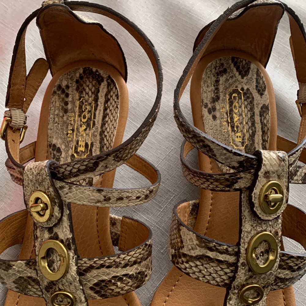 Coach Shoe Vicky Printed Python Natural. - image 4